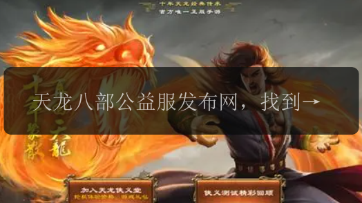天龙八部公益服发布网，找到你的武林江湖乐园了吗？